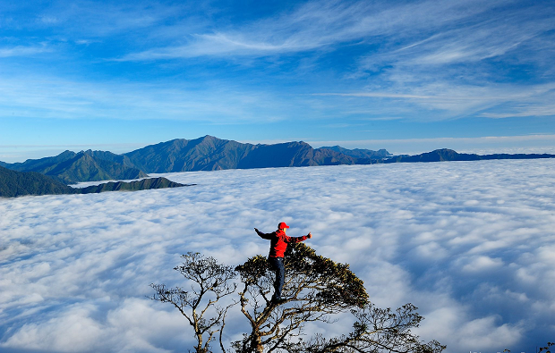 Tour du lịch Săn mây trên đỉnh Tà Xùa