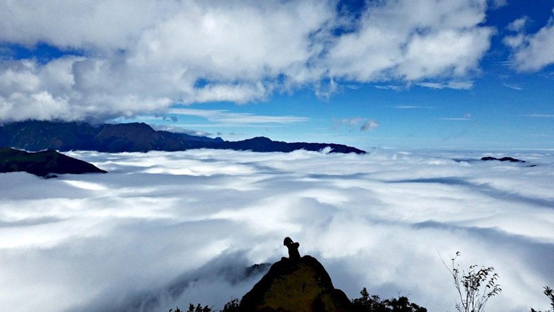 Tour du lịch Săn mây trên đỉnh Tà Xùa