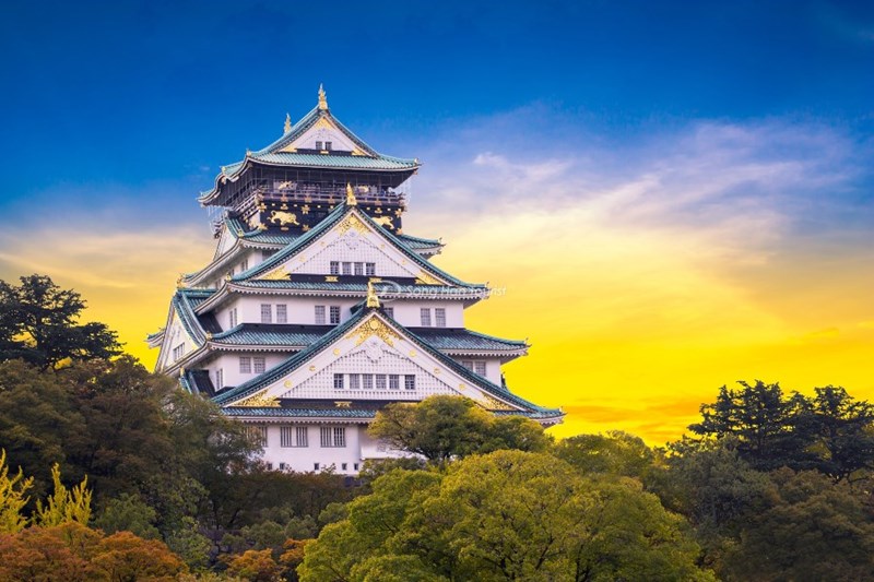 Tour du lịch Nagoya - Osaka - Nara - Kyoto - Núi Phú Sỹ - Tokyo 6 ngày 5 đêm
