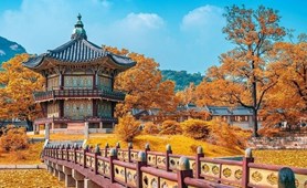 Tour du lịch Hà Nội - Seoul - Nami - CV Hoa anh đào - Everland - Hà Nội